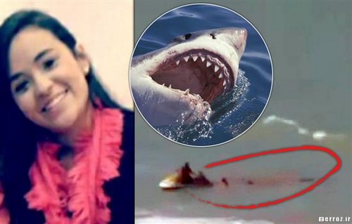 Bruna Gobbi attaked by shark (1)