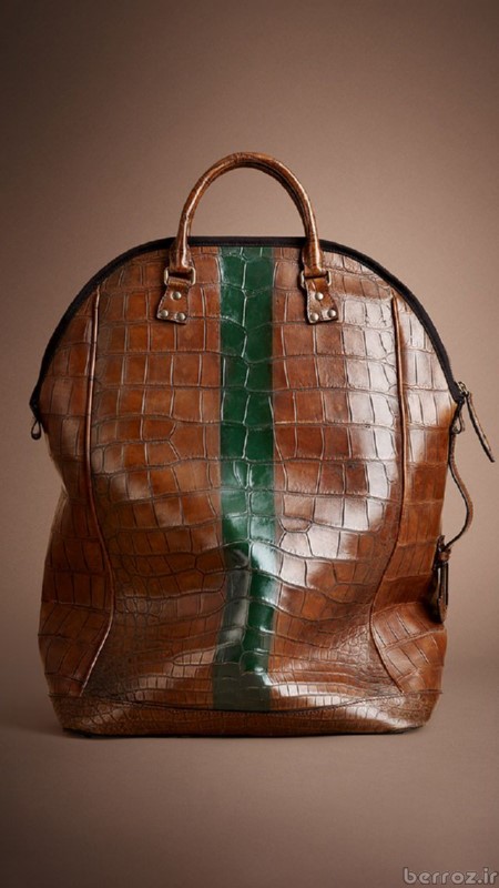 Burberry Handbags for Women picture (9)