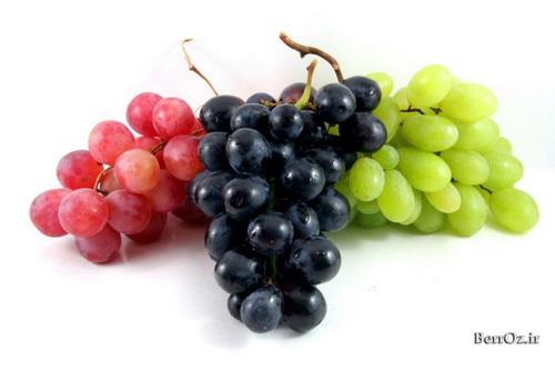 خواص هسته انگور | Grape Seed