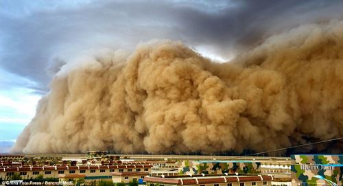 دانلود مستند طوفان شن - sand storm
