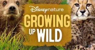 دانلود مستند Growing Up Wild 2016