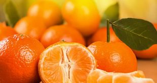 خواص نارنگی | Tangerine