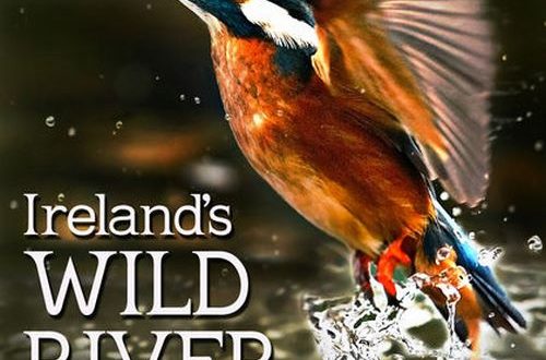 دانلود مستند رودخانه وحشی ایرلند